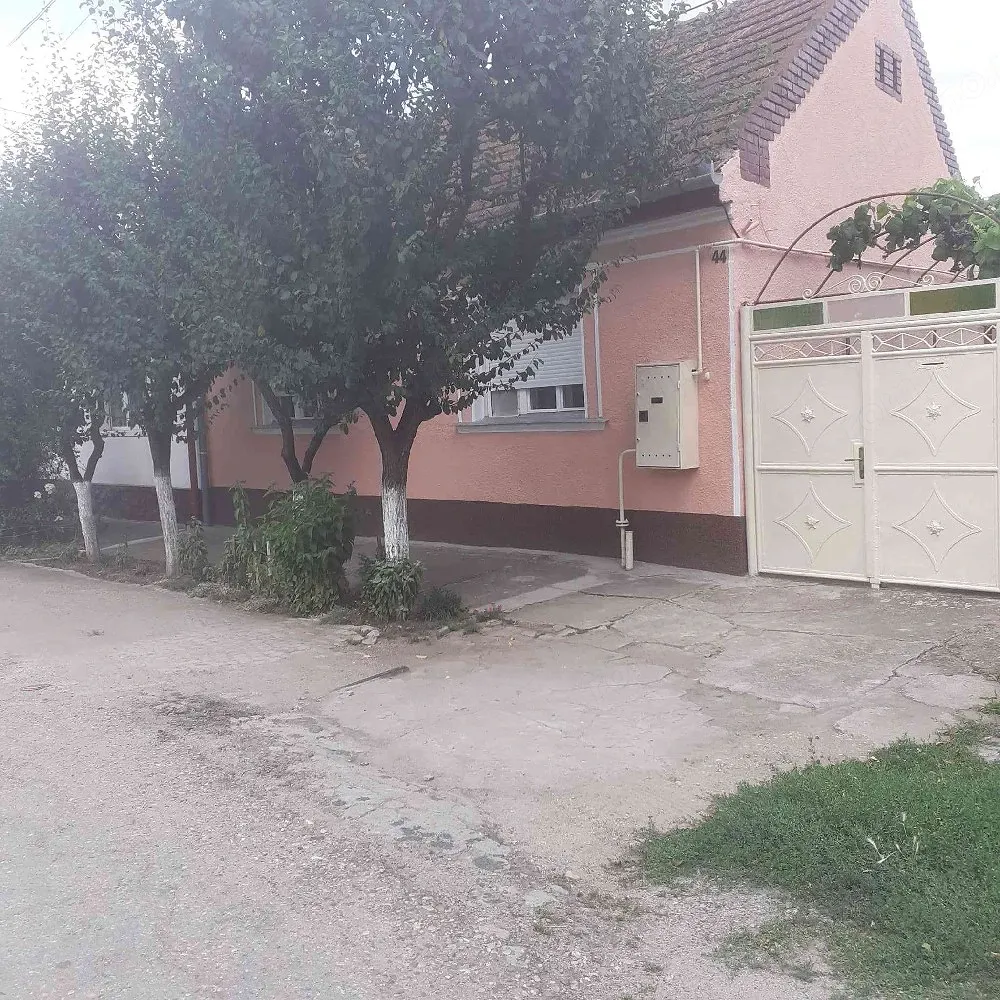 Vind casă în Micălaca