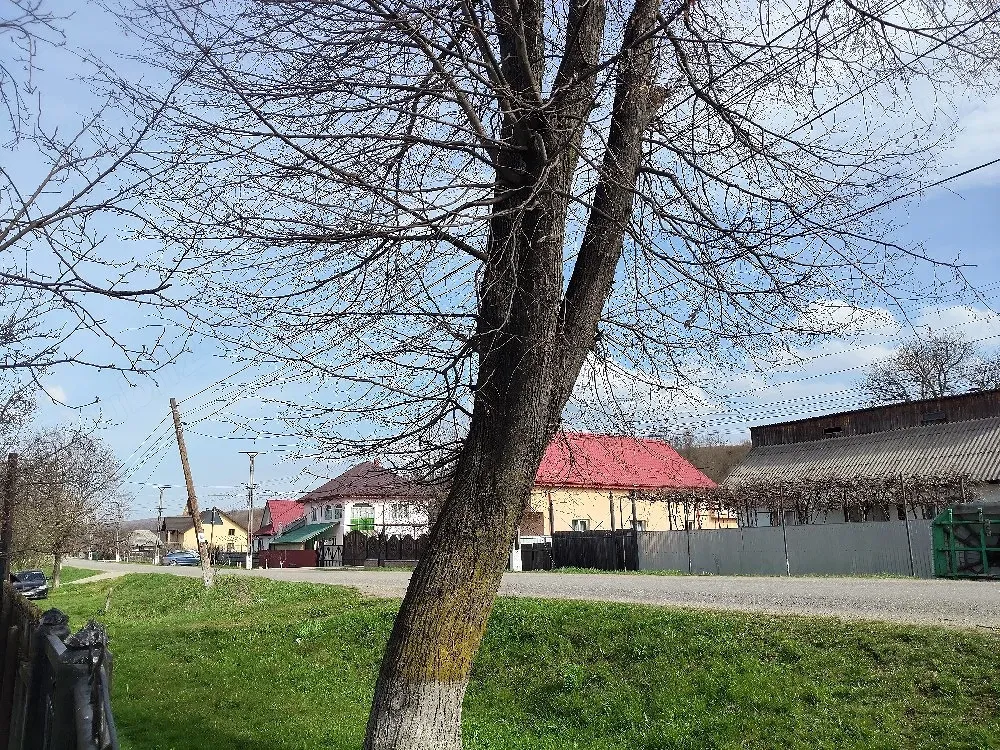 Inchirez casa pentru afacere , asfalt