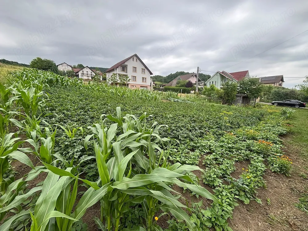Teren intravilan Bistrita - zona valea Ghinzii 8 ari