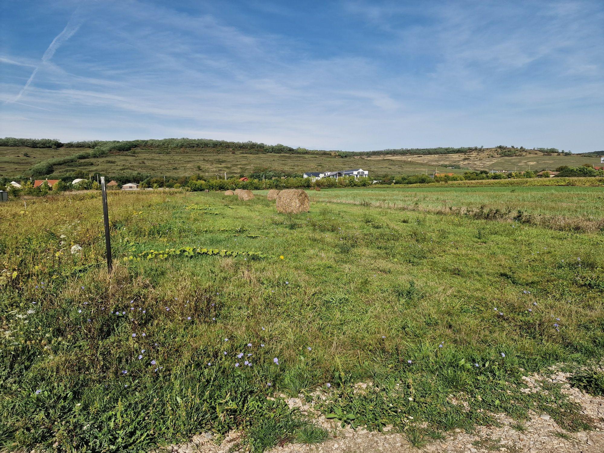 Vand teren in jucu de mijloc