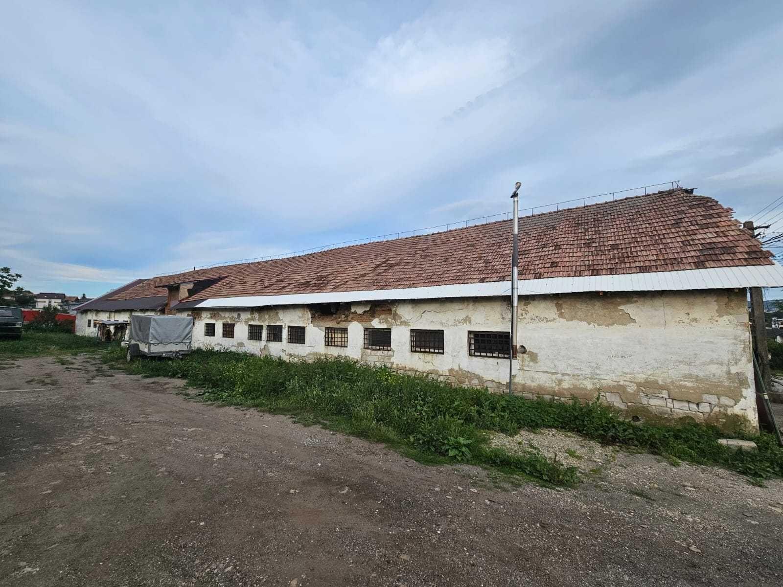 Spatii de inchiriat pentru depozitare/productie zona Lombului/strada Partizanilor
