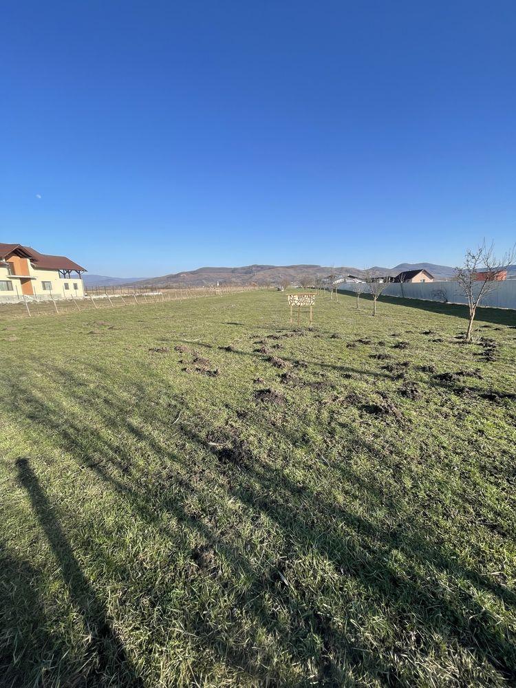 Teren Intravilan 56 Arii Brancovenesti