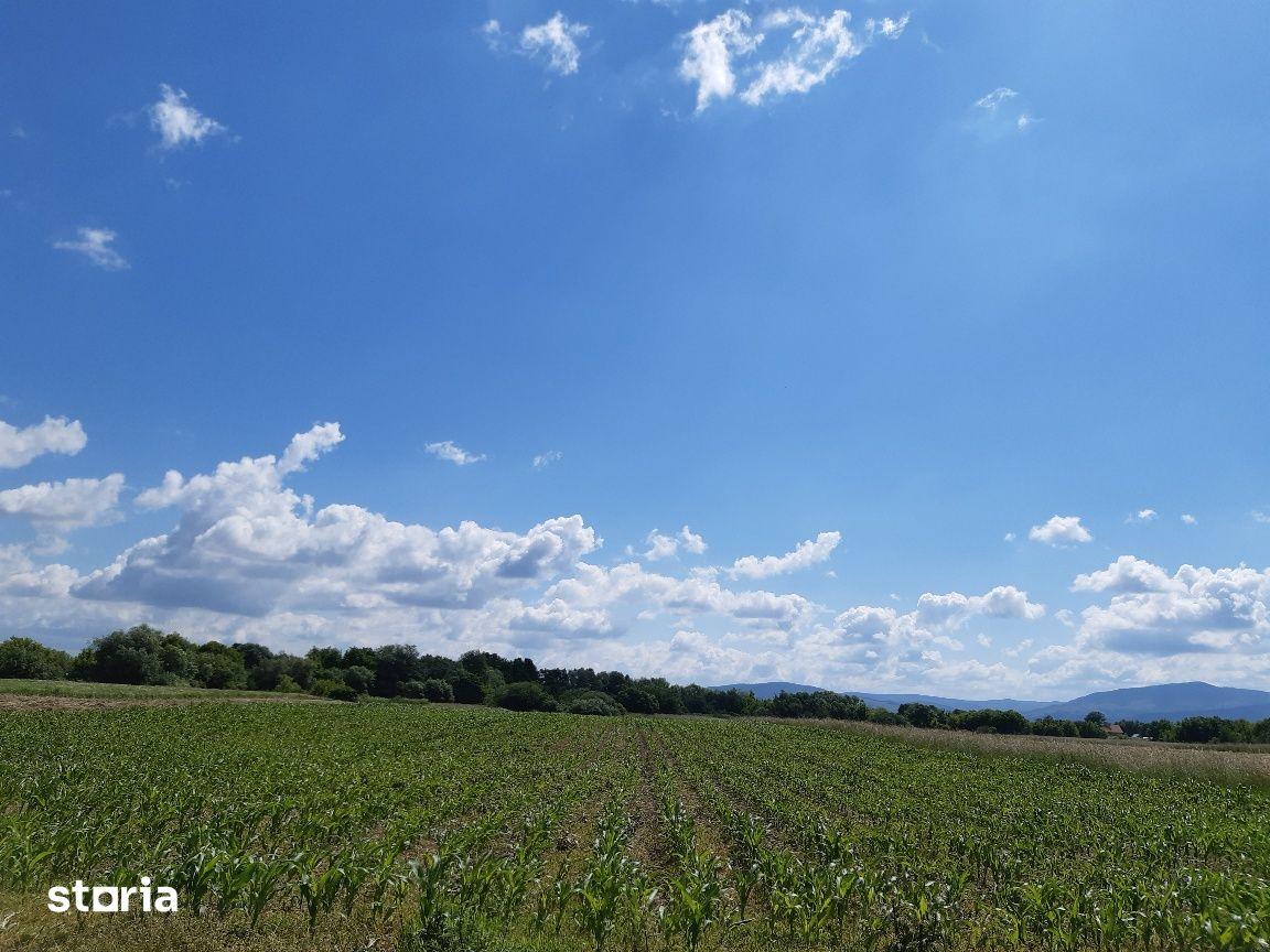 Teren agricol Podu Oltului la limita UAT Harman si UAT Prejmer