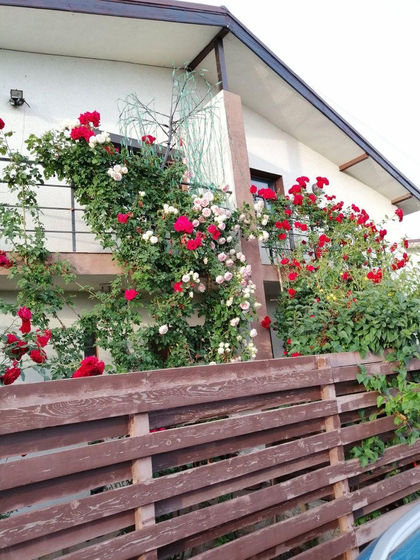 Se oferă spre vânzare duplex p+1  complet mobilat și utilat.Direct propietar.Comuna Berceni zona Trandafirilor. - imagine 1