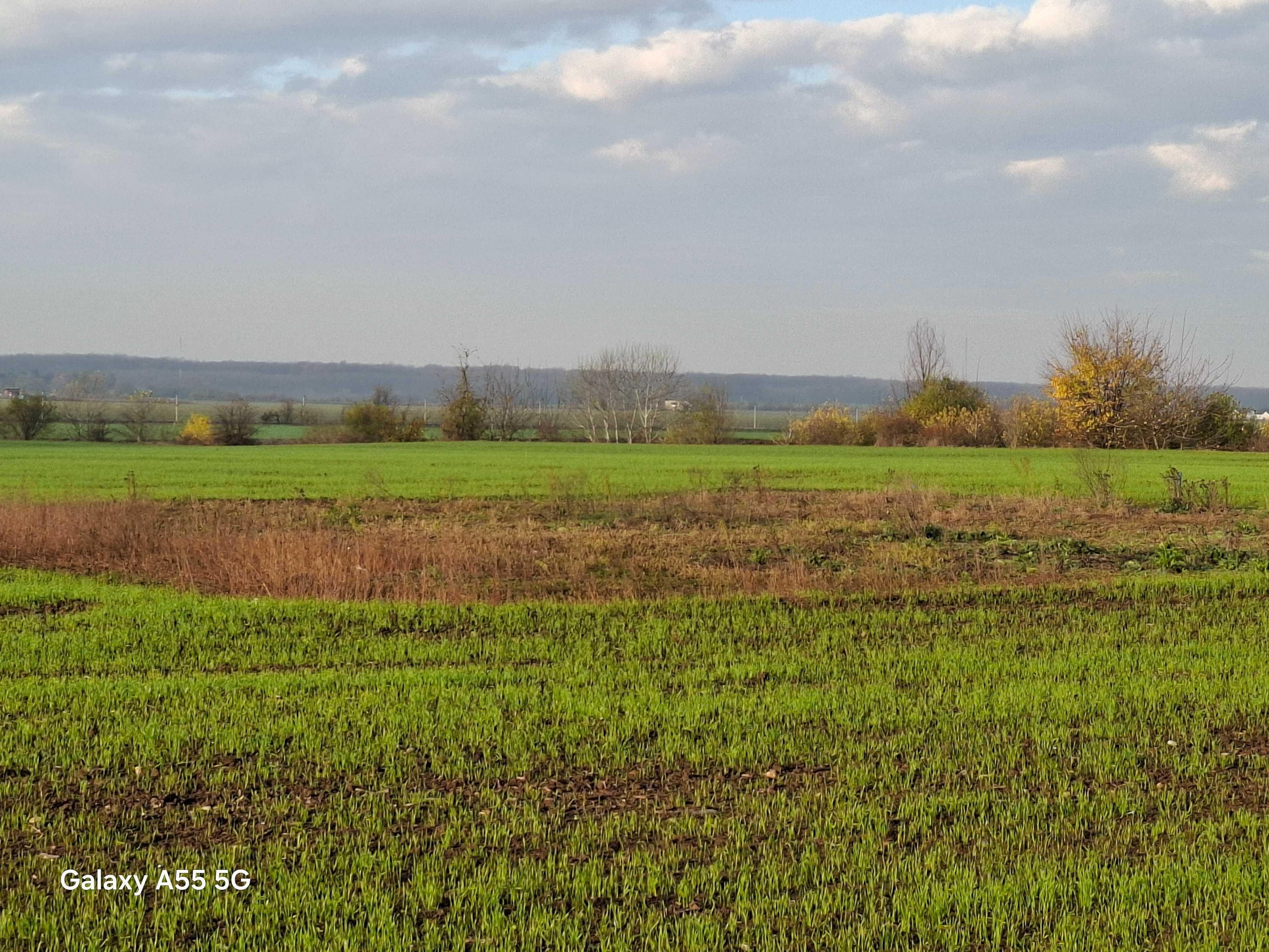 Vand teren Buftea