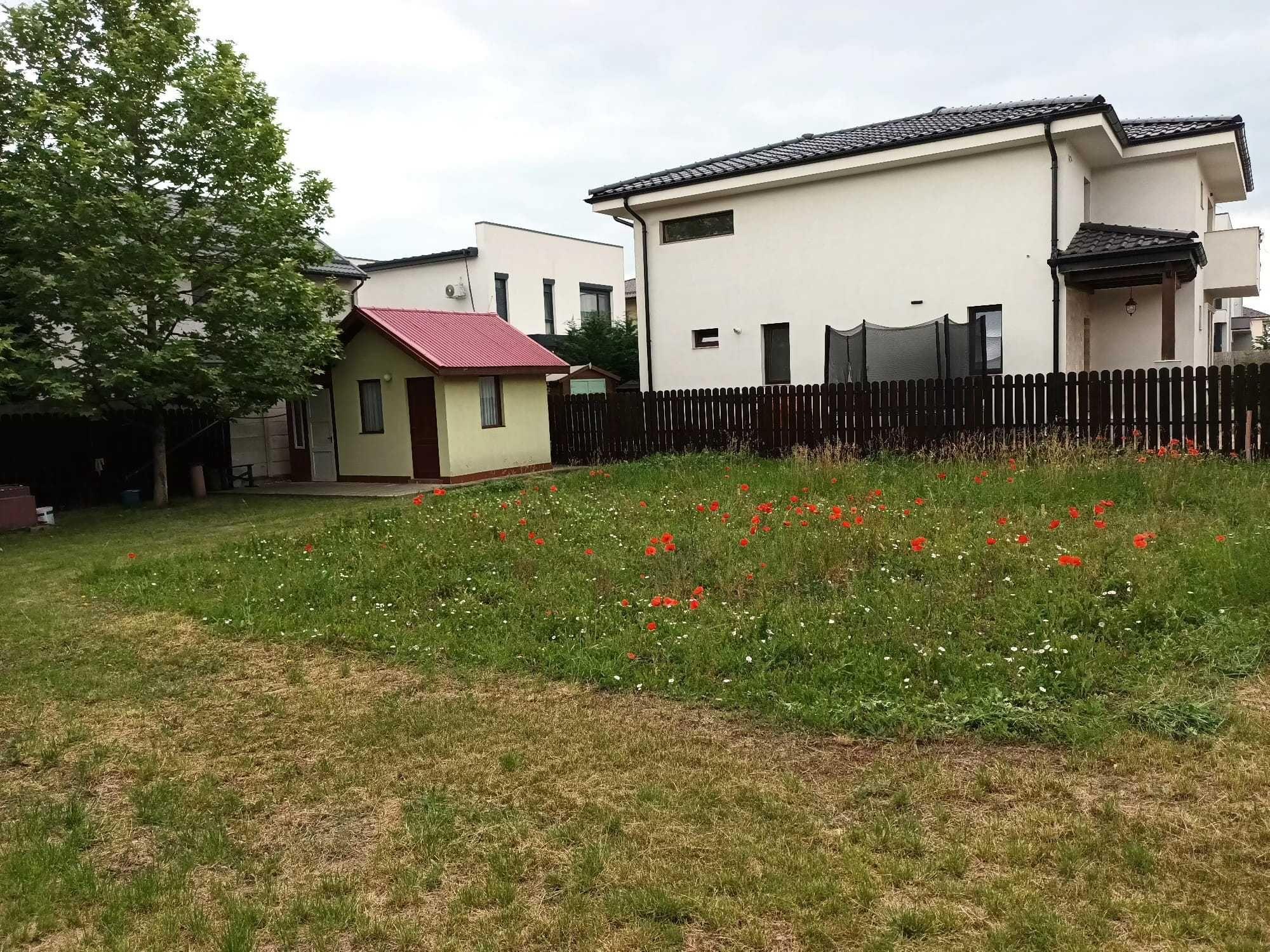 Teren de vanzare Otopeni Odai - DIRECT PROPRIETAR - imagine 1