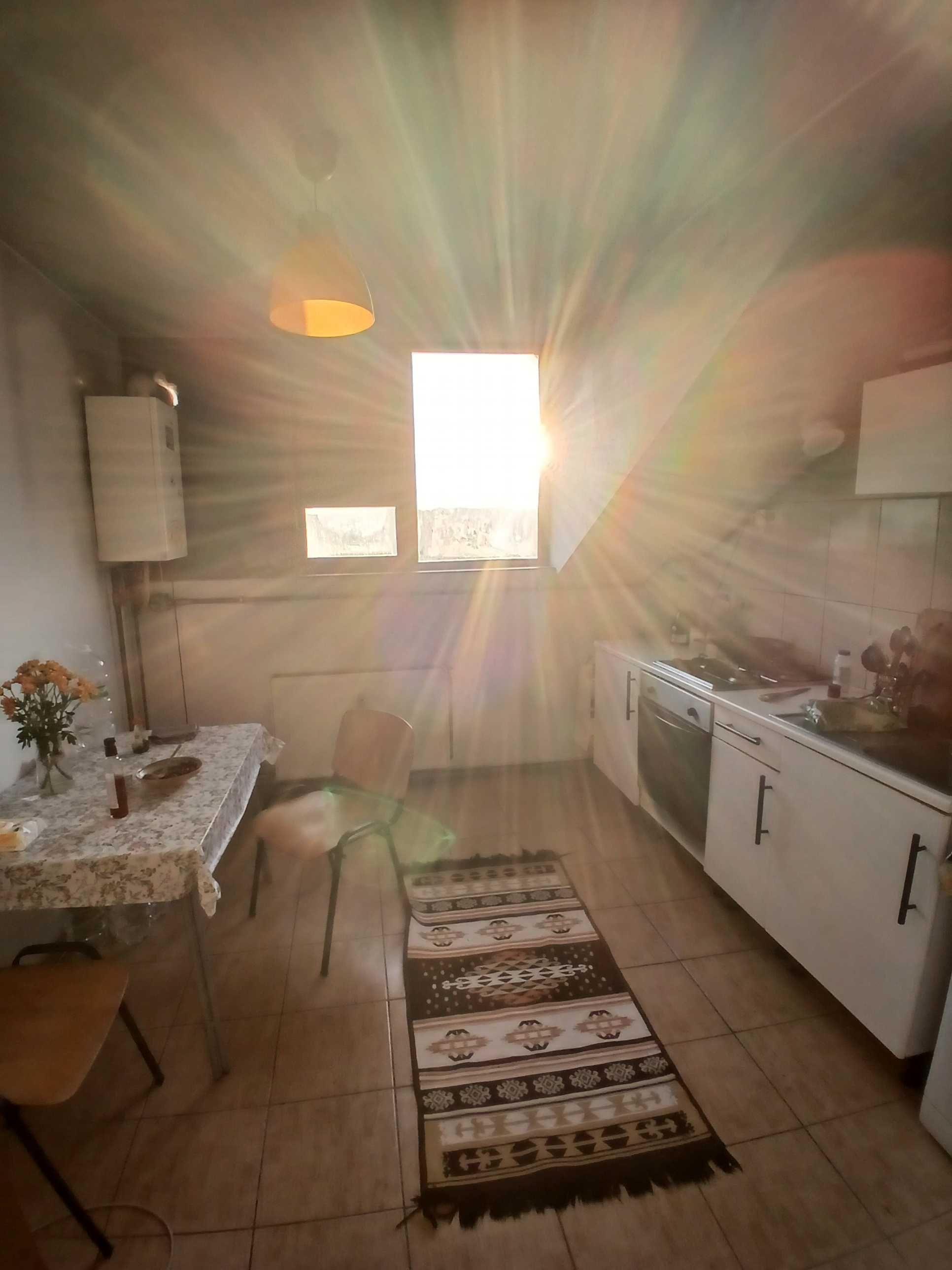 Apartament 2 camere Snagov - imagine 1