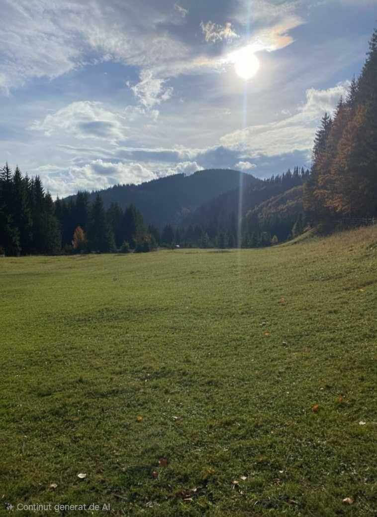 Teren intravilan 7.000 mp la poalele Ceahlăului – Sat Telec (Bicazul Ardelean) Posibilitate parcelare