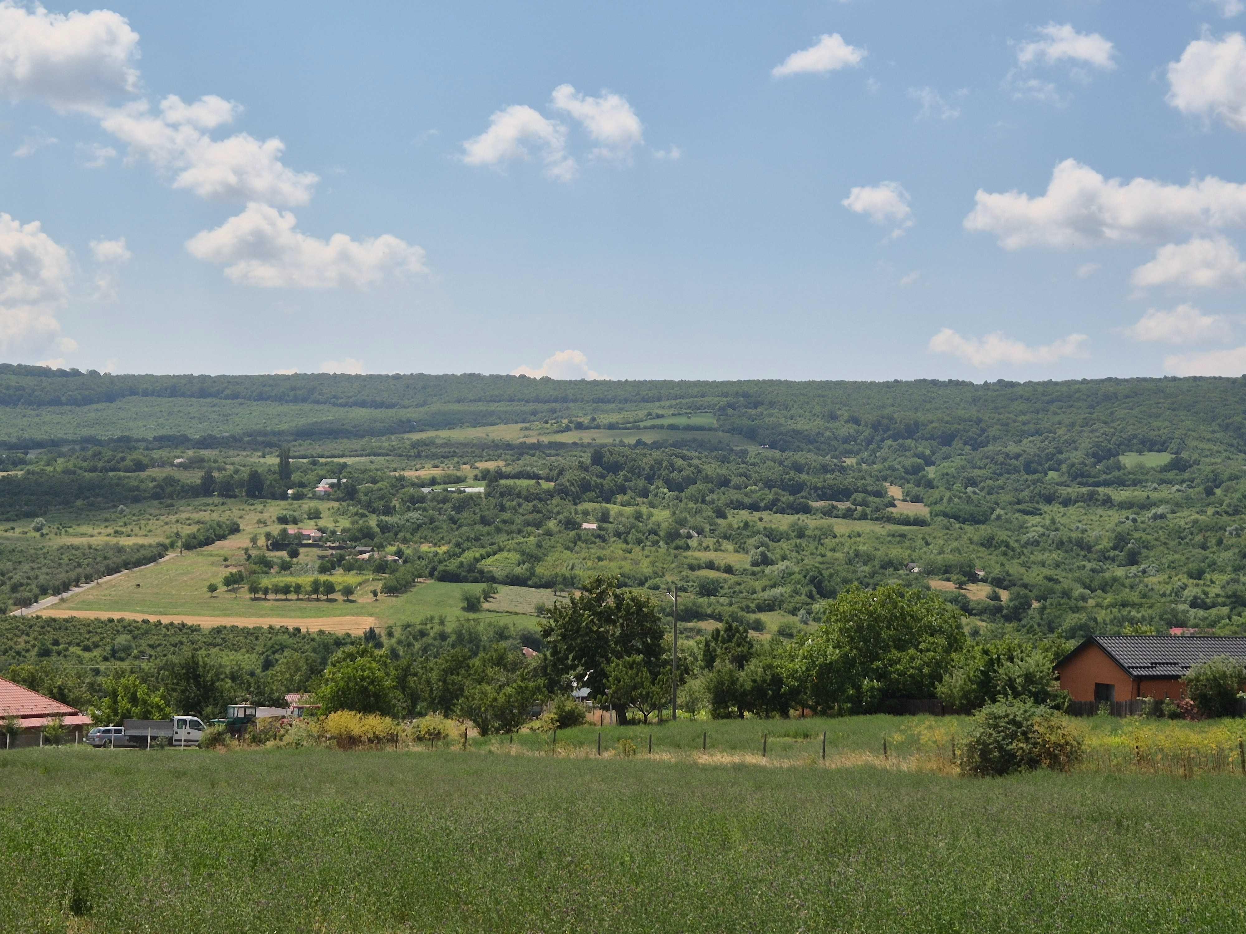 Teren intravilan Tomești-Goruni
