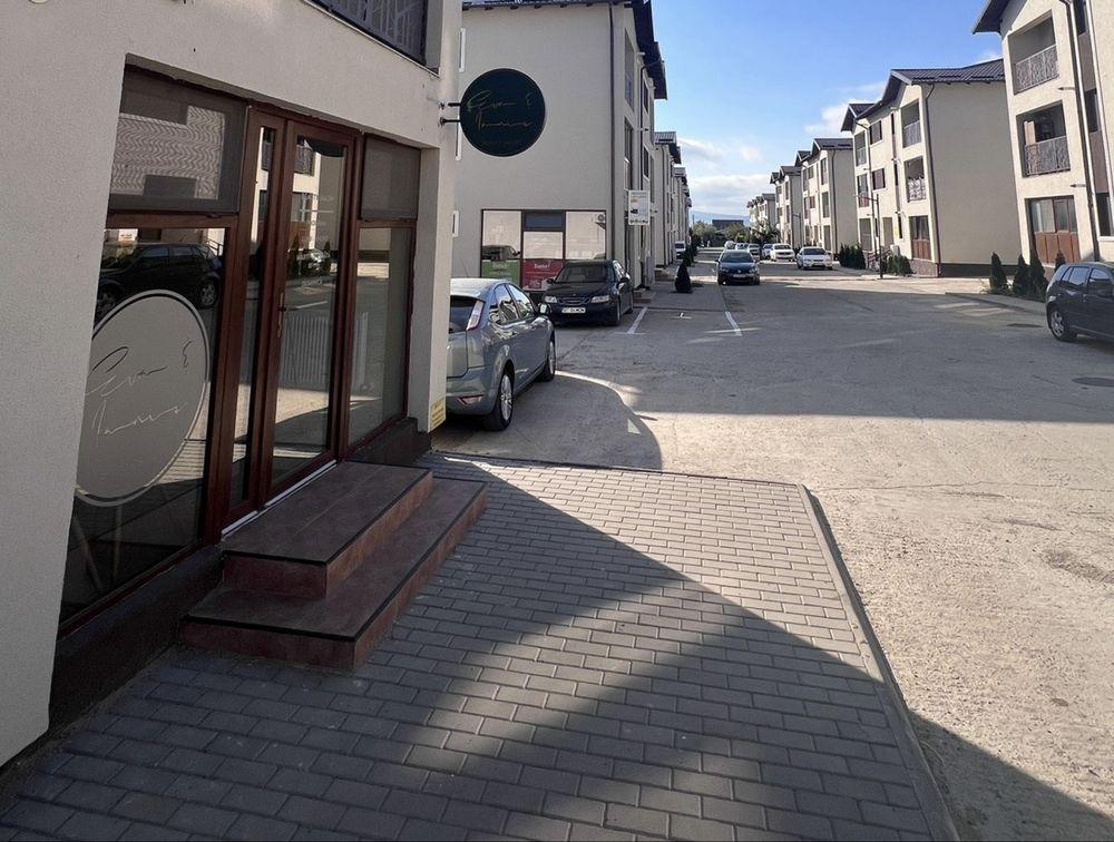 Spatiu comercial Lunca Cetatuii - imagine 1