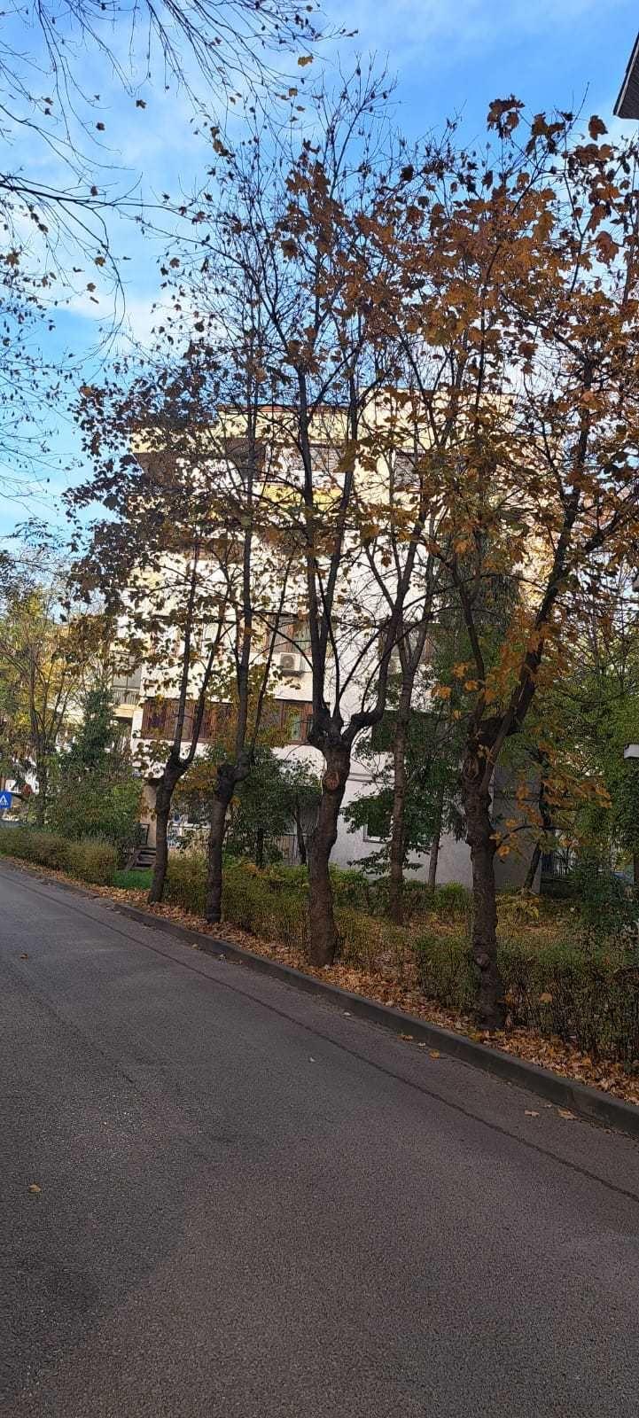 Apartament 3 camere/bloc deosebit - fara bulina,Aleea Parcului - direct de la Proprietar