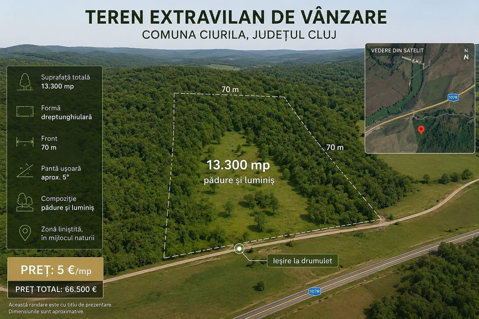 Teren extravilan 13.300 mp în Ciurila, Cluj - imagine 1