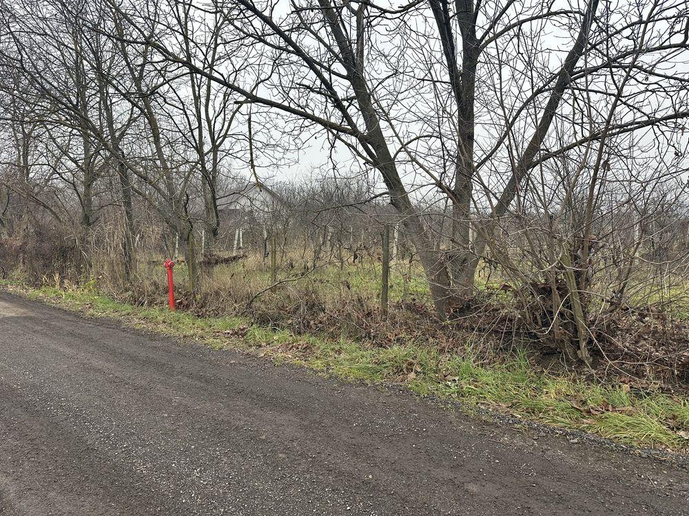 Teren intravilan str Dâmbului 3