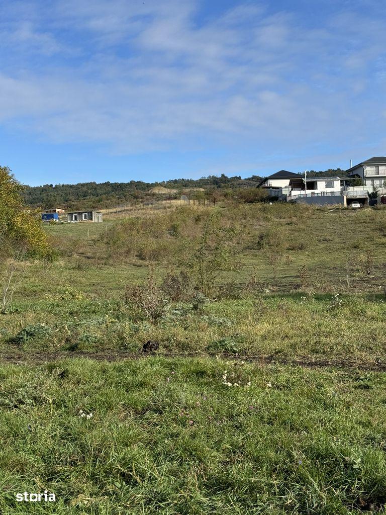Teren Colonia Valea Fanatelor