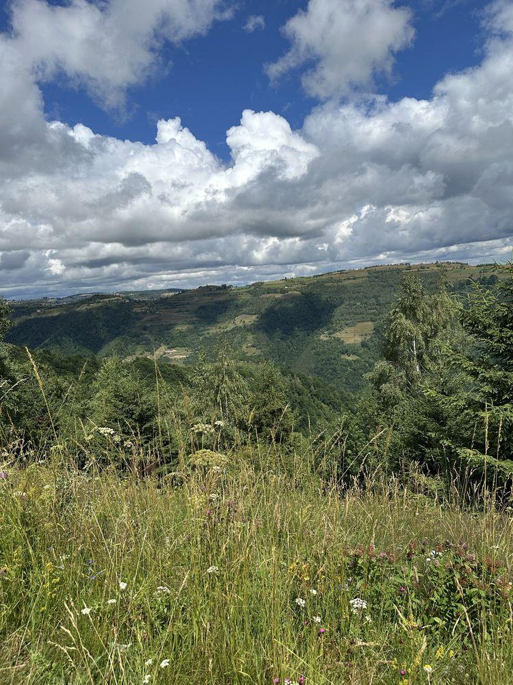 Teren extravilan Maguri ,cabana de vanzare Maguri