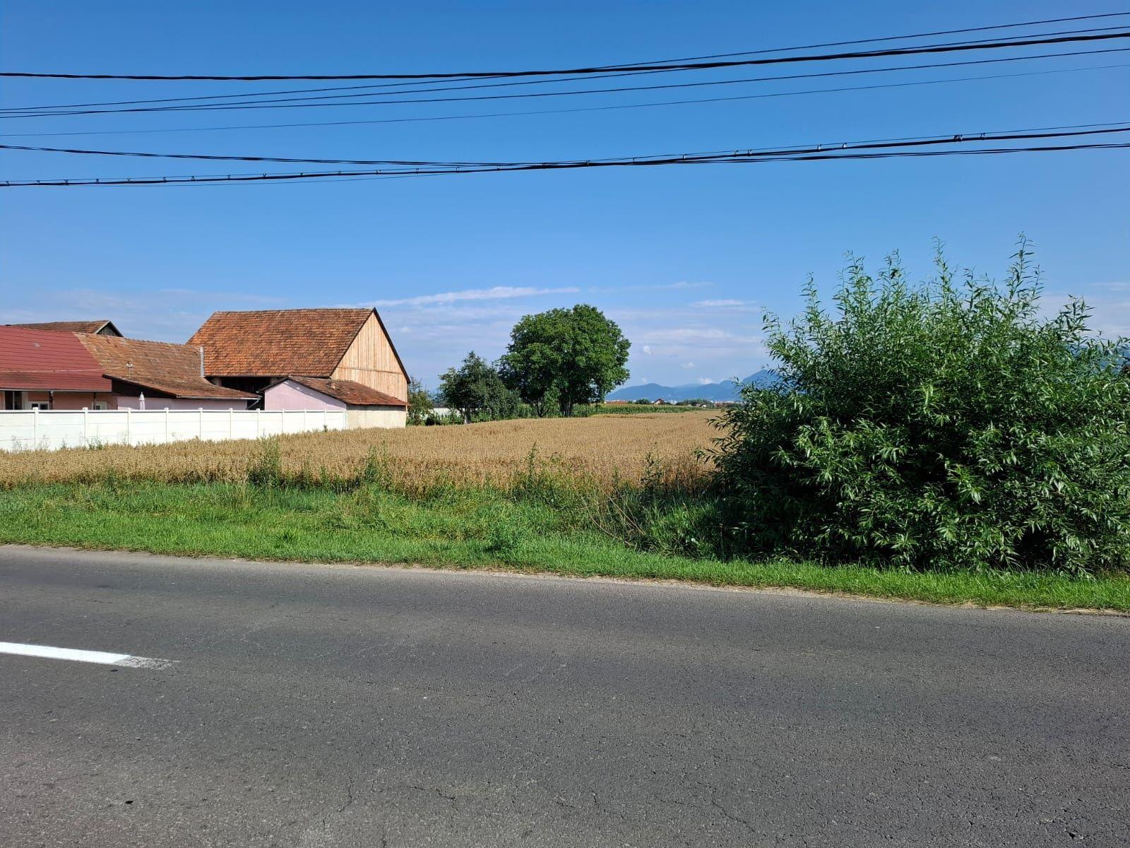 Vând teren în zona Stupini