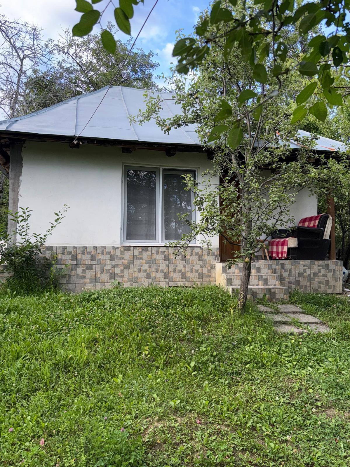 Casă de vacanță + 10.800 mp teren | 2 case | Sat Coasta, Comuna Golești, Vâlcea