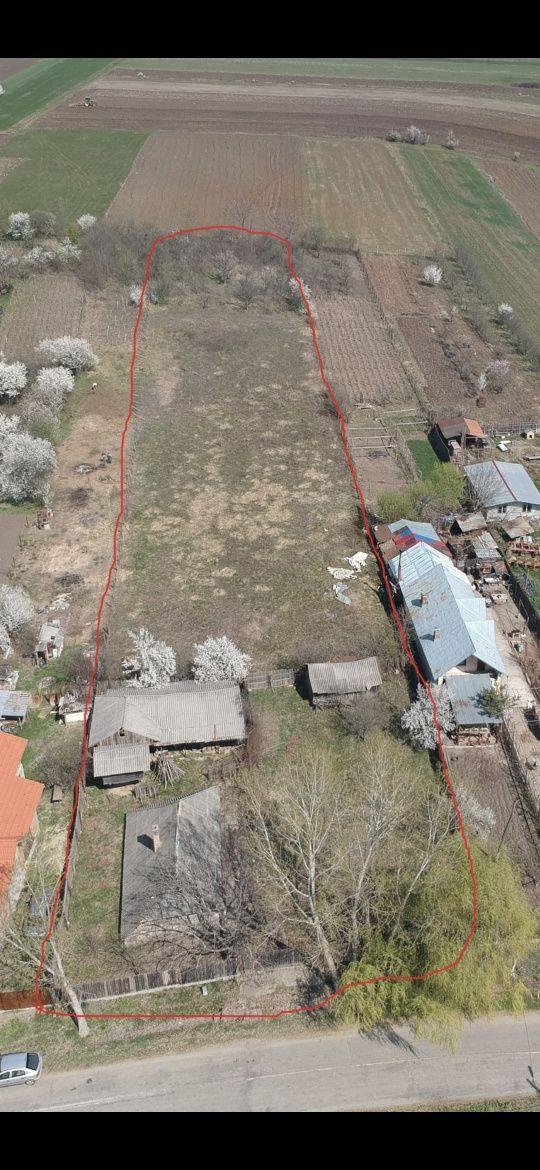 Vânzare teren intravilan la strada principala– Ghercesti, sat Teisani. - imagine 1