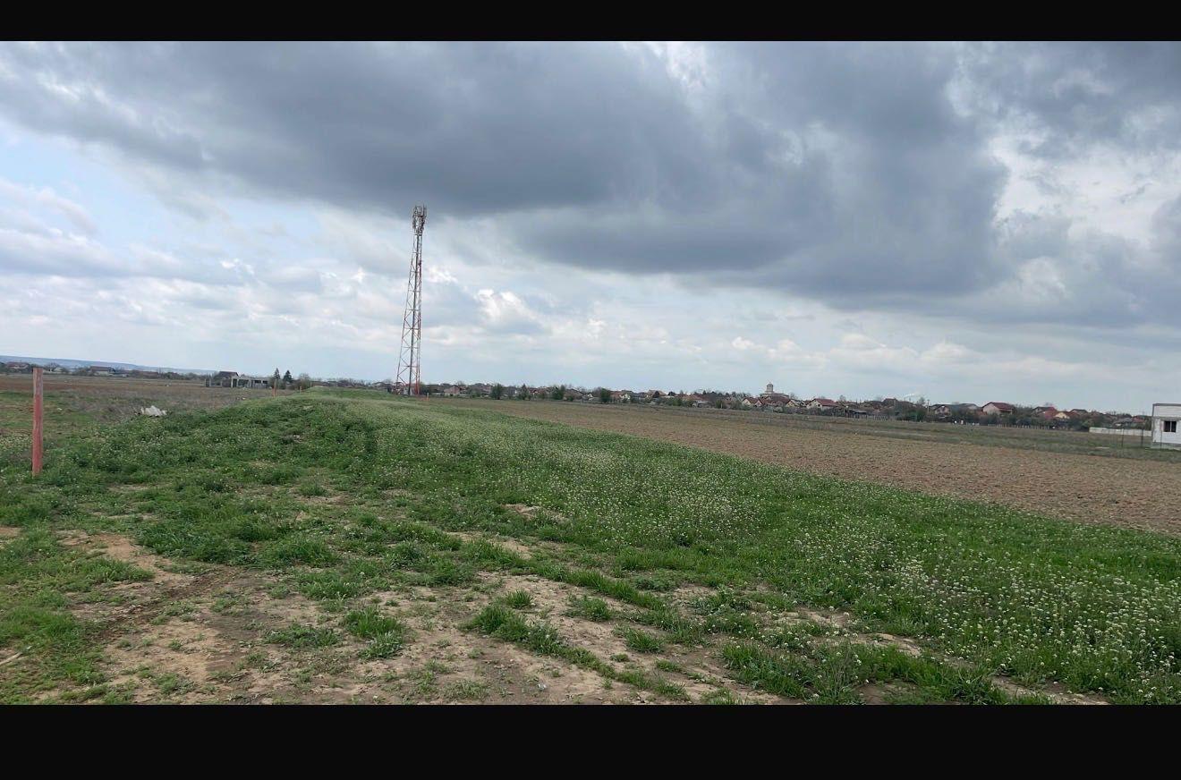 Teren 700 mp Carcea - 15000 euro