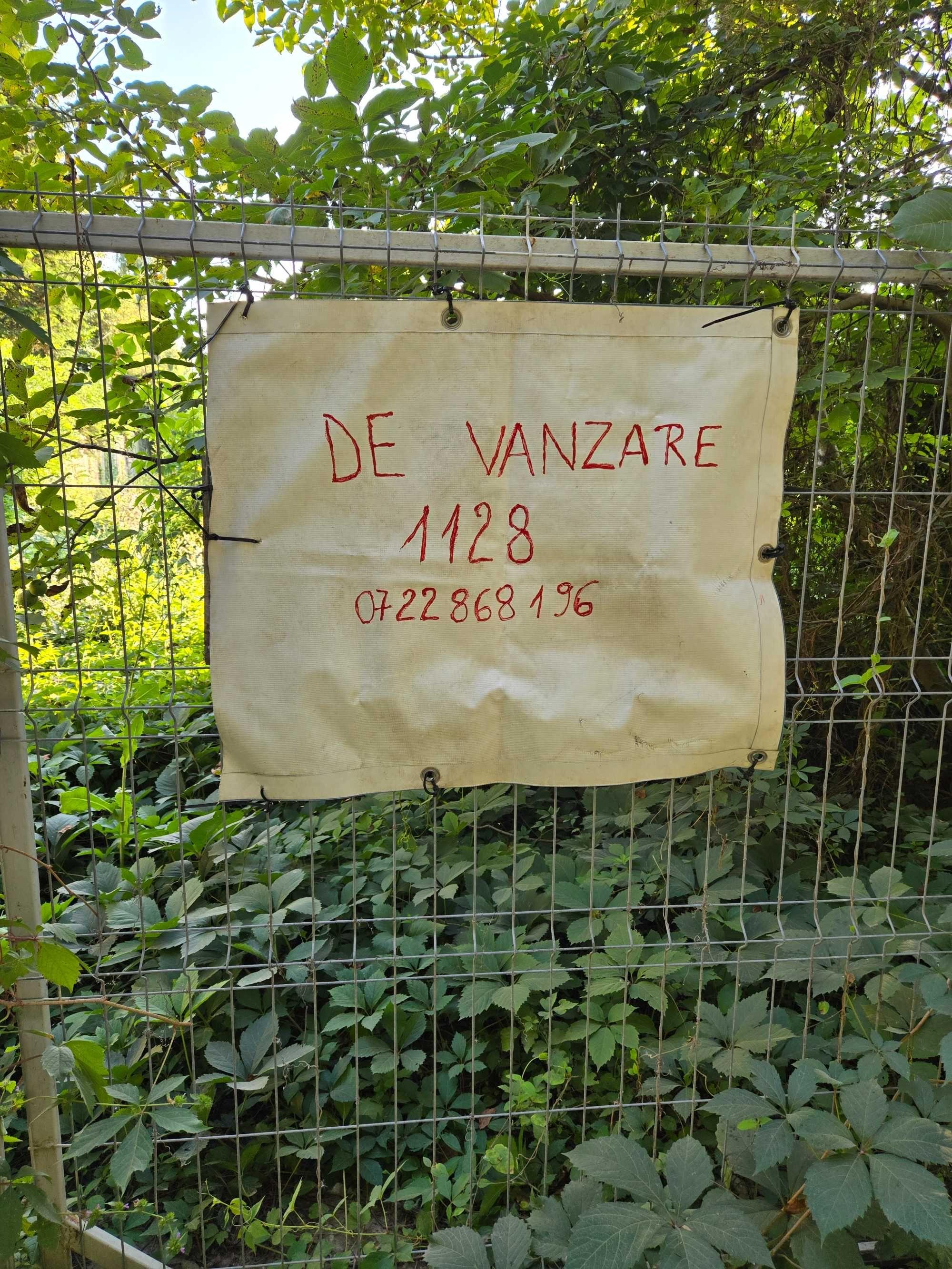 Vanzare tren Snagov Ilfov