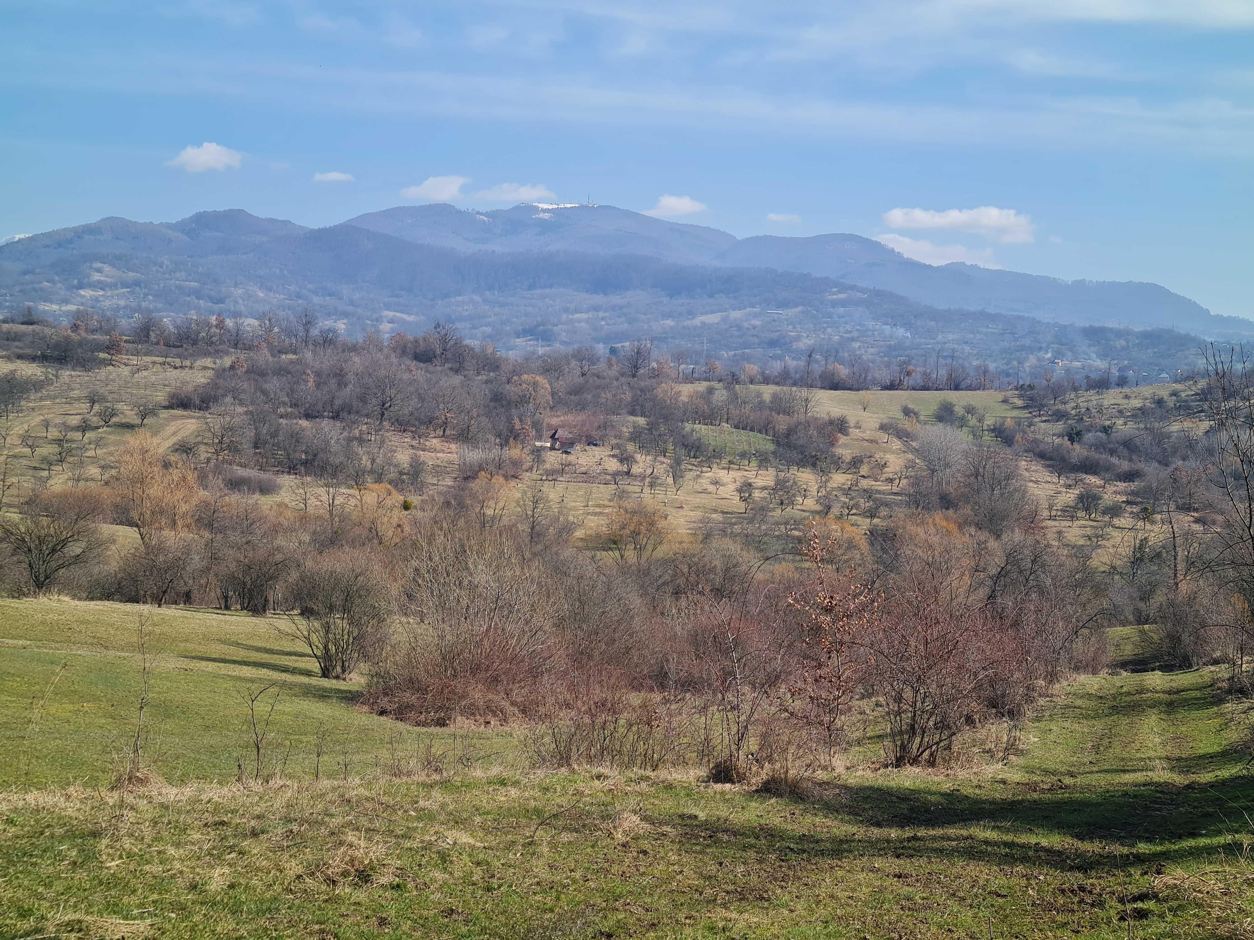 Teren bun pt relaxare , liniste ,cabanuta  cu panorama superba, 3 ari,  1700 eu ,5ari 3500 eu, 10 ari 6500 eu, la 10 min de Baia Mare - imagine 1