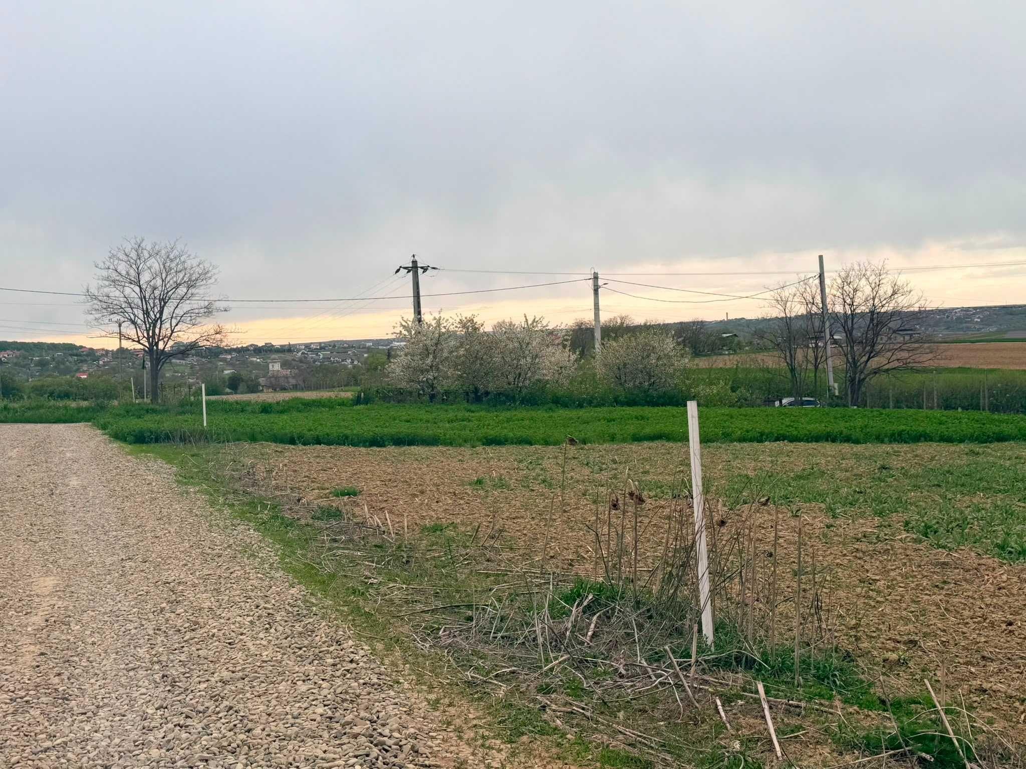 Loturi de teren în Mănăstirea Doamnei Gaz Apa Curent electric