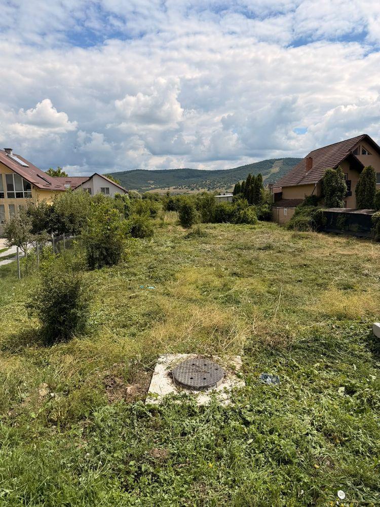 Teren 25 ari Unirea