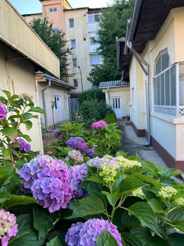 Casa de vanzare Str. Radu cel Mare, nr. 17 - imagine 1