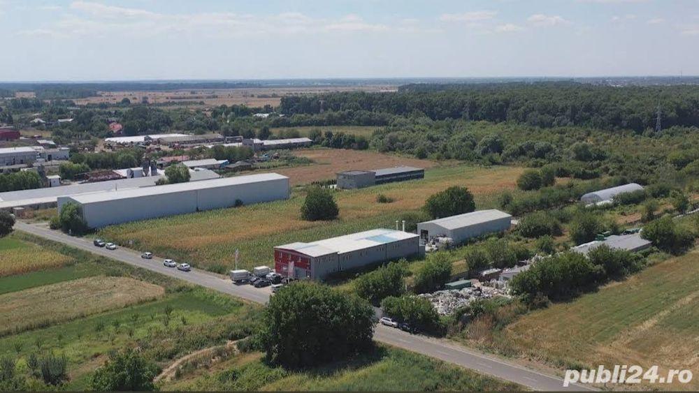 Teren intravilan 5548mp, zona industrială Jilava
