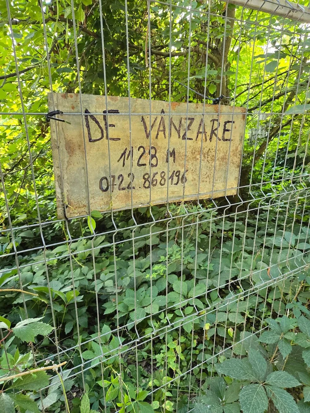 Teren de vanzare Snagov sat,intr. Salcamilor,pădurea Fundu Sacului...1128m...120 m