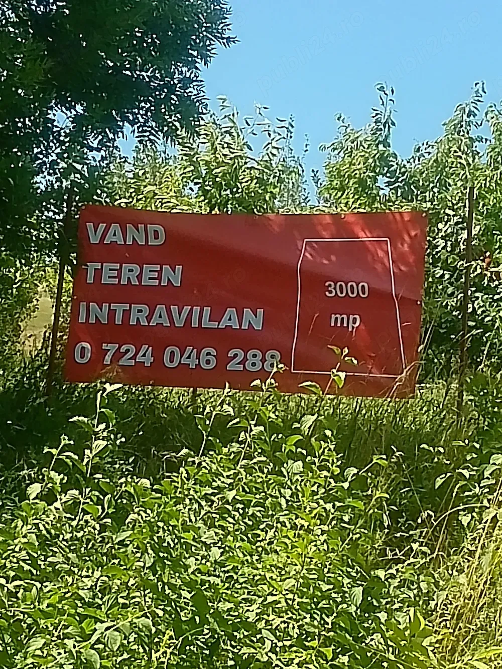 Proprietar vând teren 3000 (2X1500 )mp sopor - imagine 1