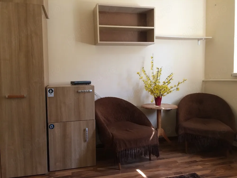 Garsonieră de închiriat în Gruia, 19mp, mobilata și utilată - imagine 1