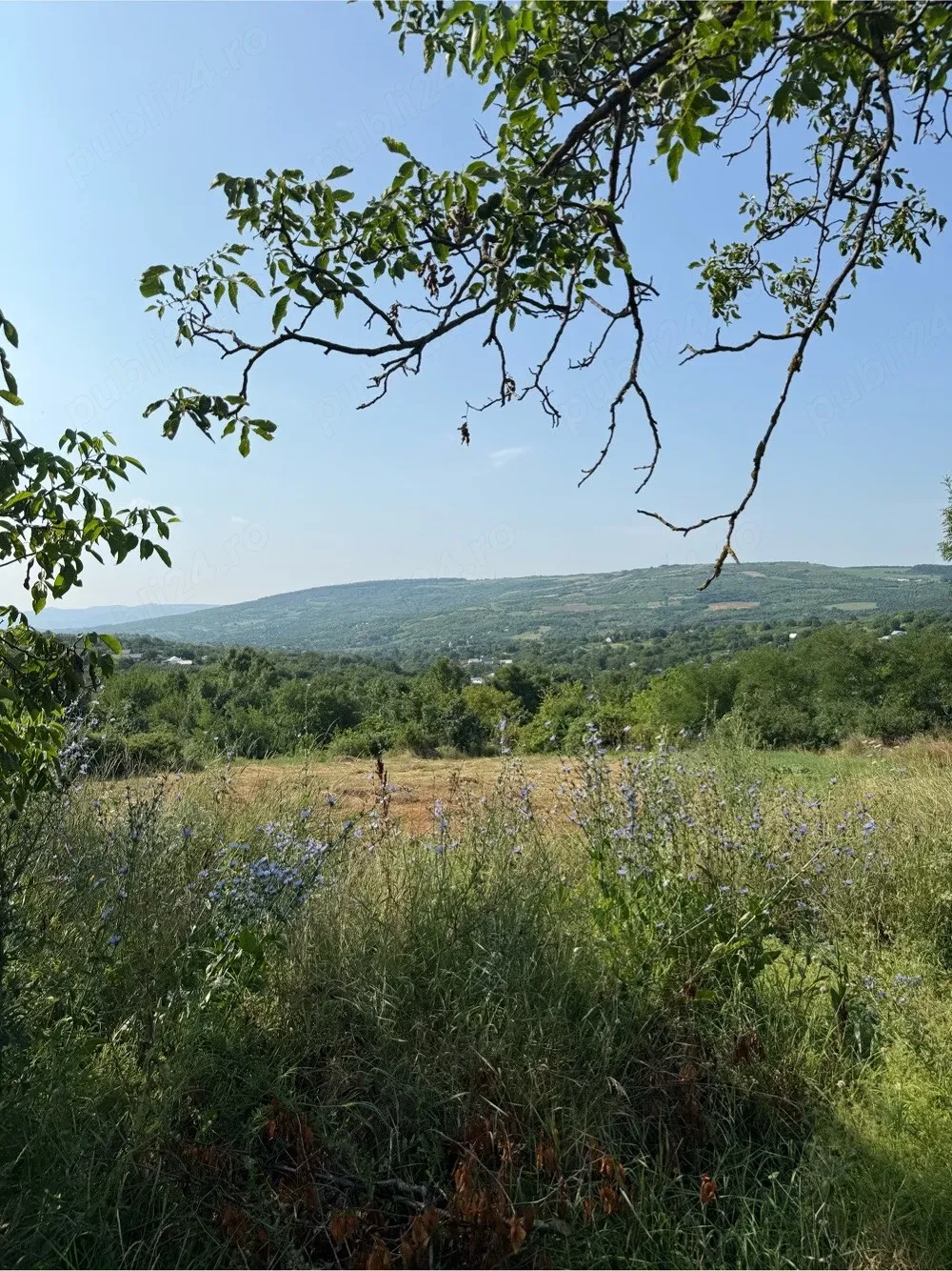 Vand teren intravilan in Comarna, iesirea din Chicerea asfalt   curent 20 km de iasi
