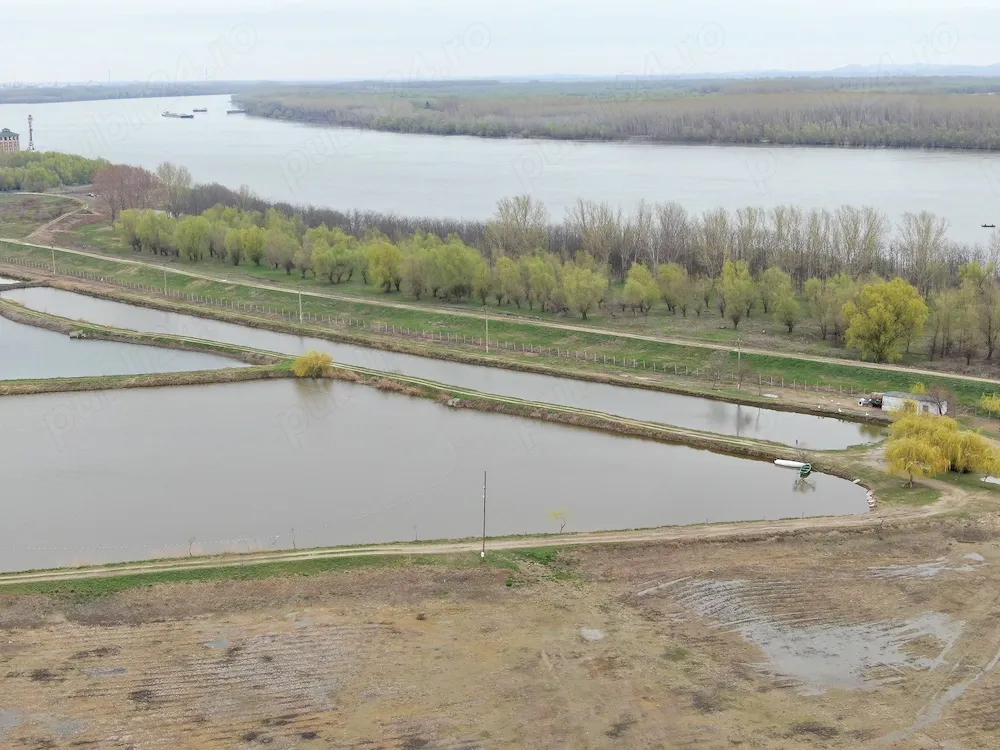 Oportunitate de investiție: complex piscicol de 40 ha la intrarea Dunării în Brăila - imagine 1