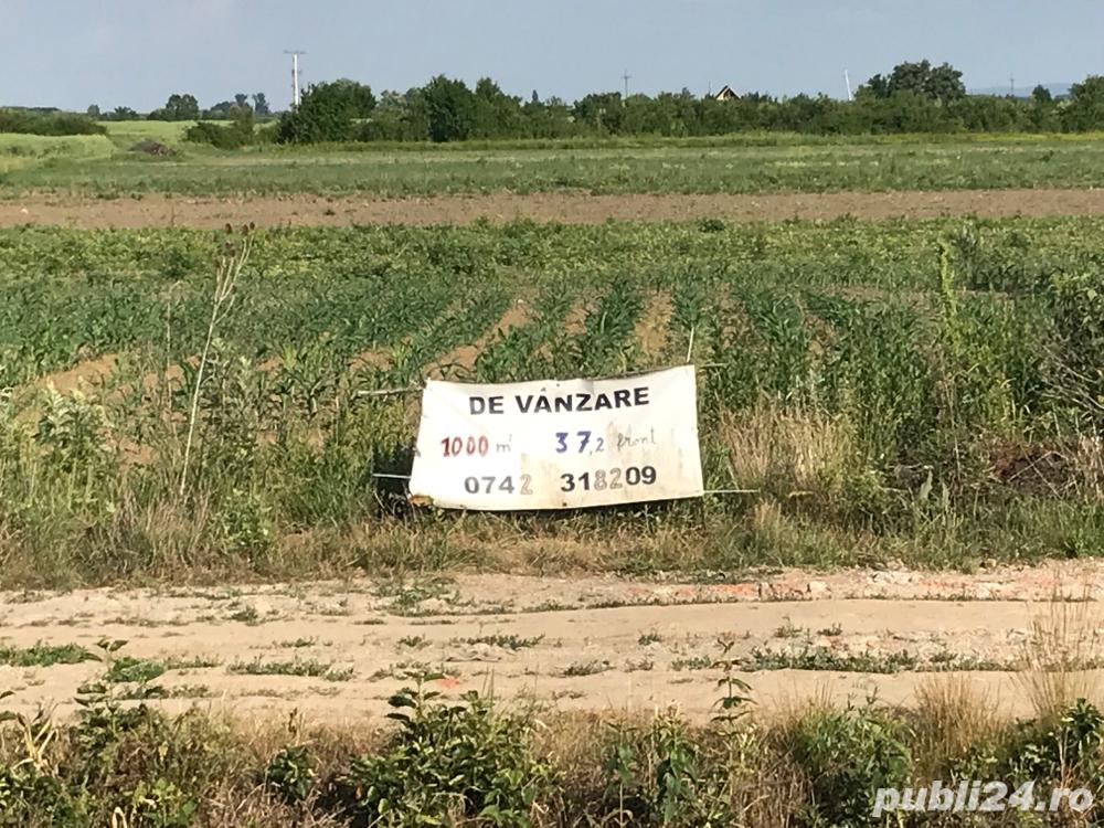 vand teren 1000 mp ,pe strada Gorunului,vis a vis Aquastar cu deschidere 37 ,2 metri