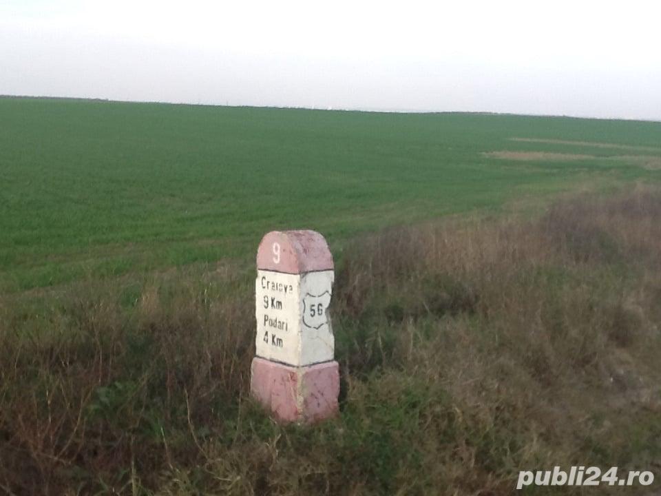 ParceleTeren 1000 mp PODARI-Dolj