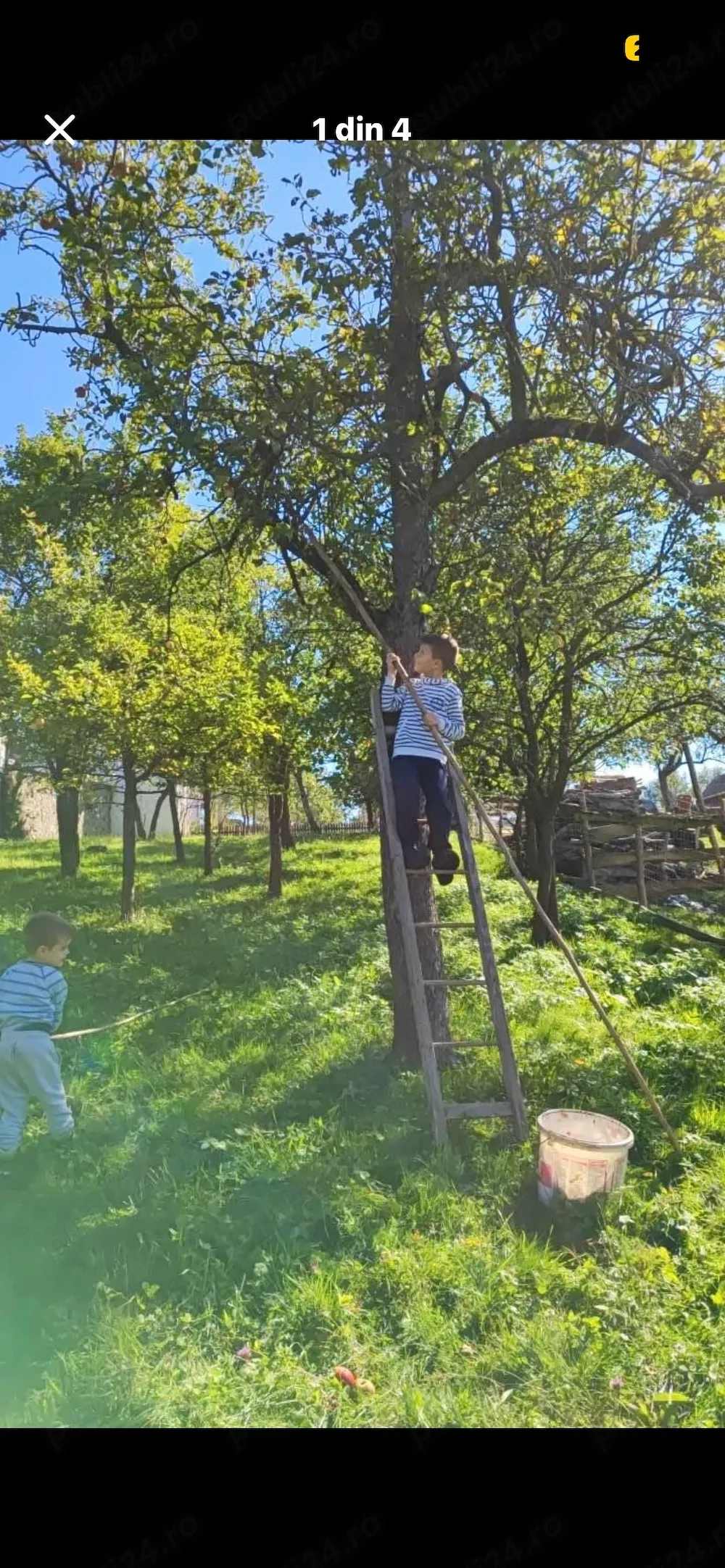 grădina  teren intravilan - imagine 1