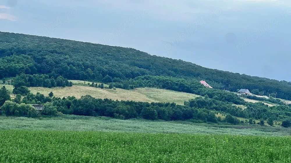 vand casa si teren