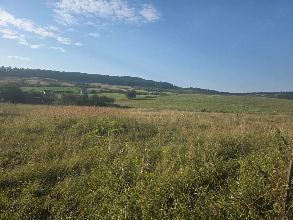Teren intravilan de vanzare 2.600 mp, Valea Stanelor - imagine 1