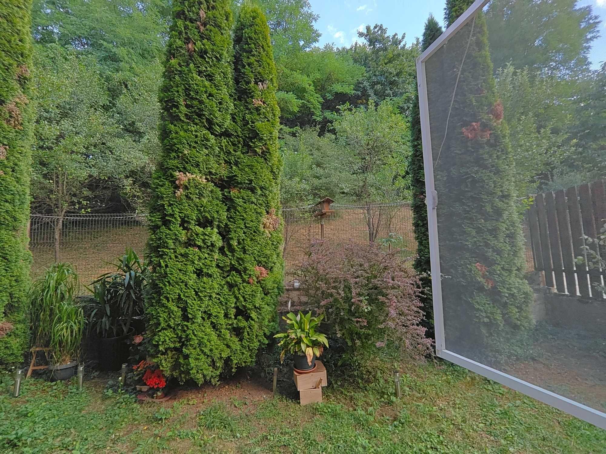 PF vand Ap Floresti, Cluj, langa padure