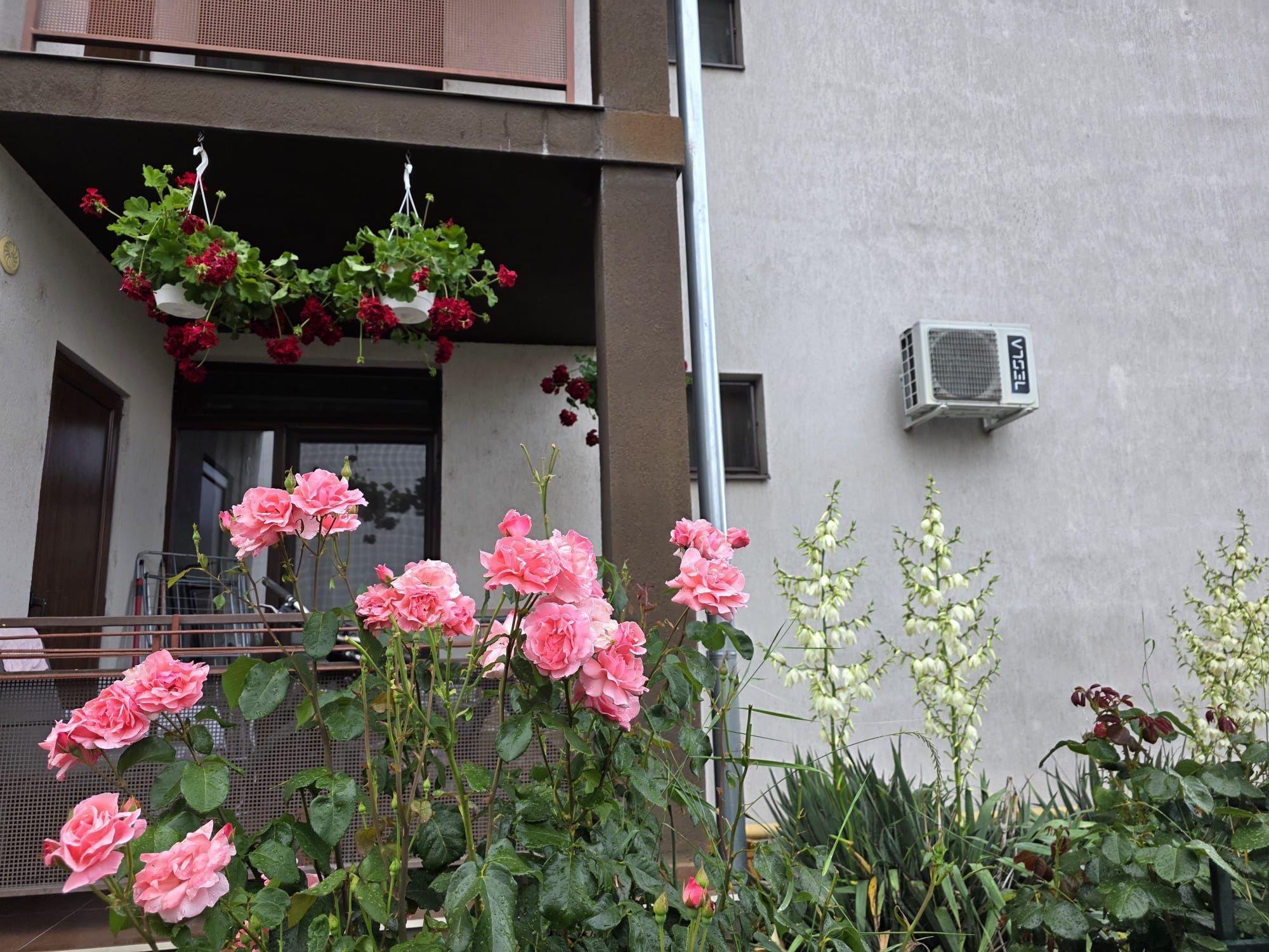 Apartament 3 camere str Tineretului 1