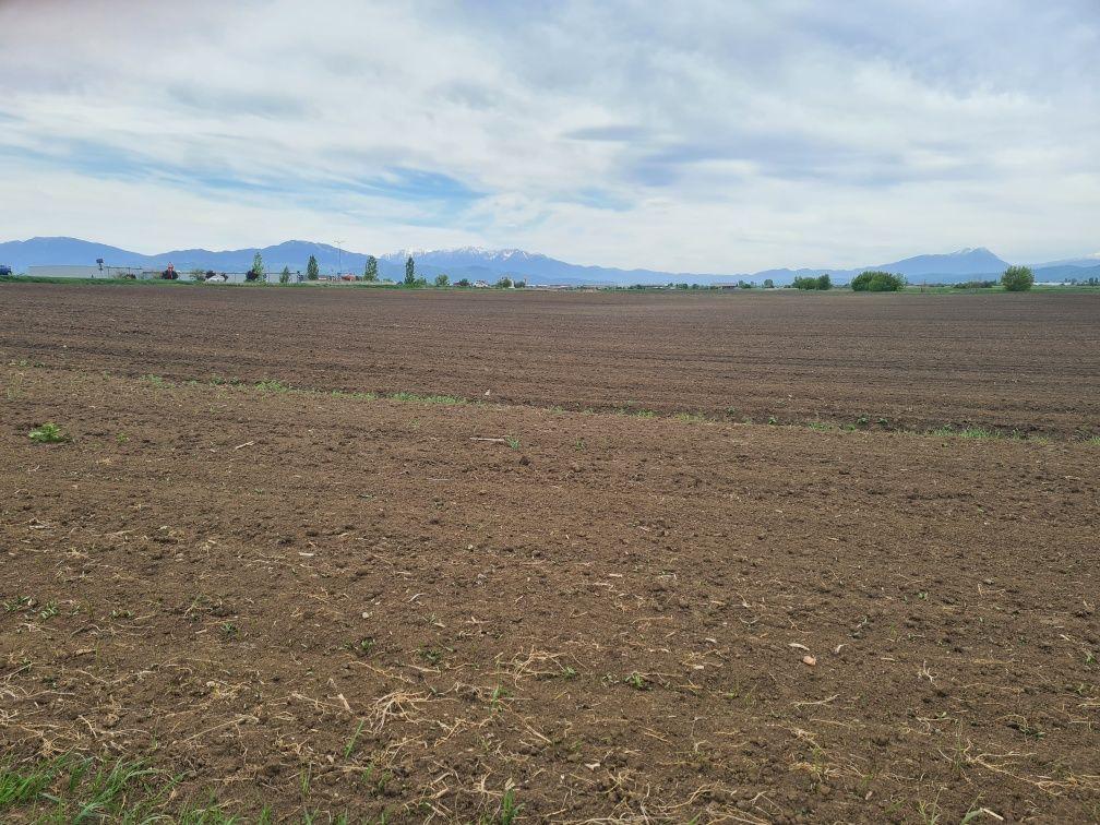 Teren Agricol 5000mp