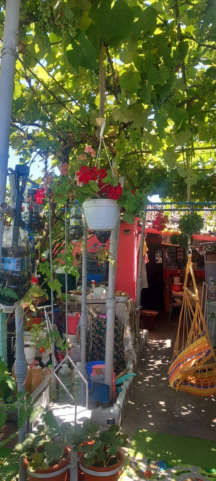 Casă de vânzare KM 4
