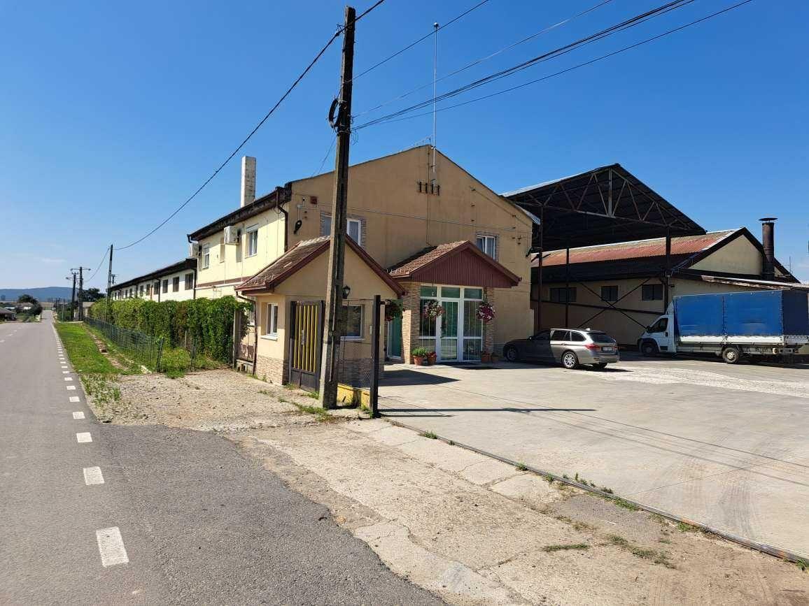 Hală 4.000 mp construiti si 7500 mp teren - imagine 1