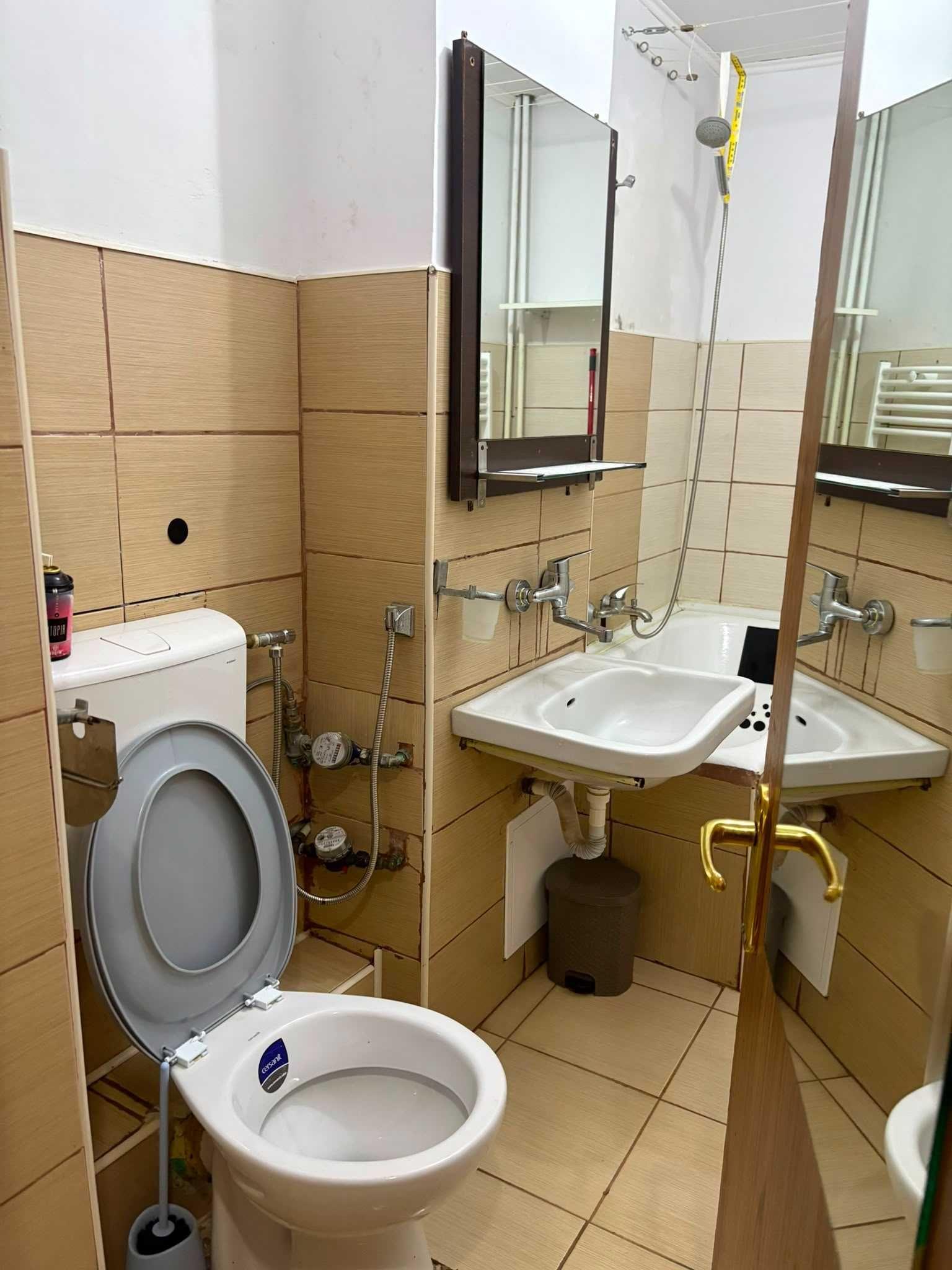 Inchiriez garsonieră, zona Sebastian parc , Vulcan ,1400 lei 0724564275. - imagine 1