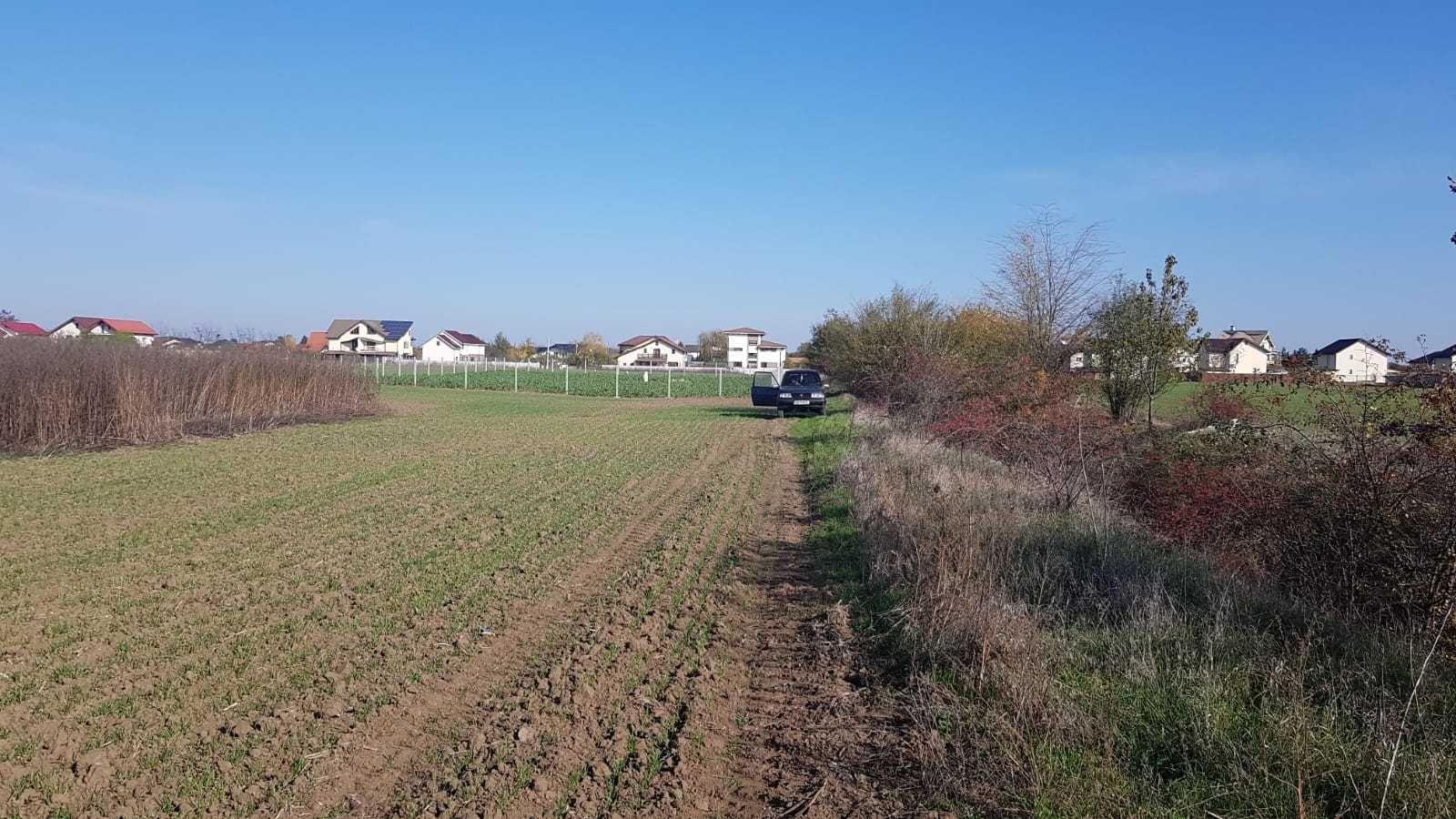 OCAZIE !!! 990 mp teren casa langa padurea Buftea