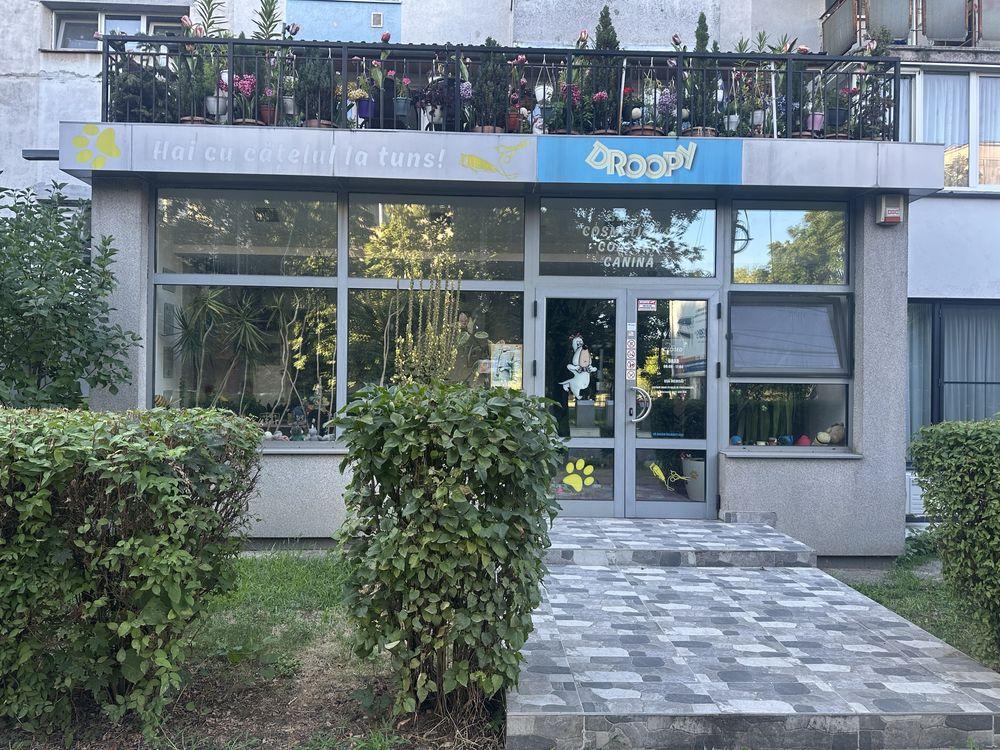 Spatiu comercial