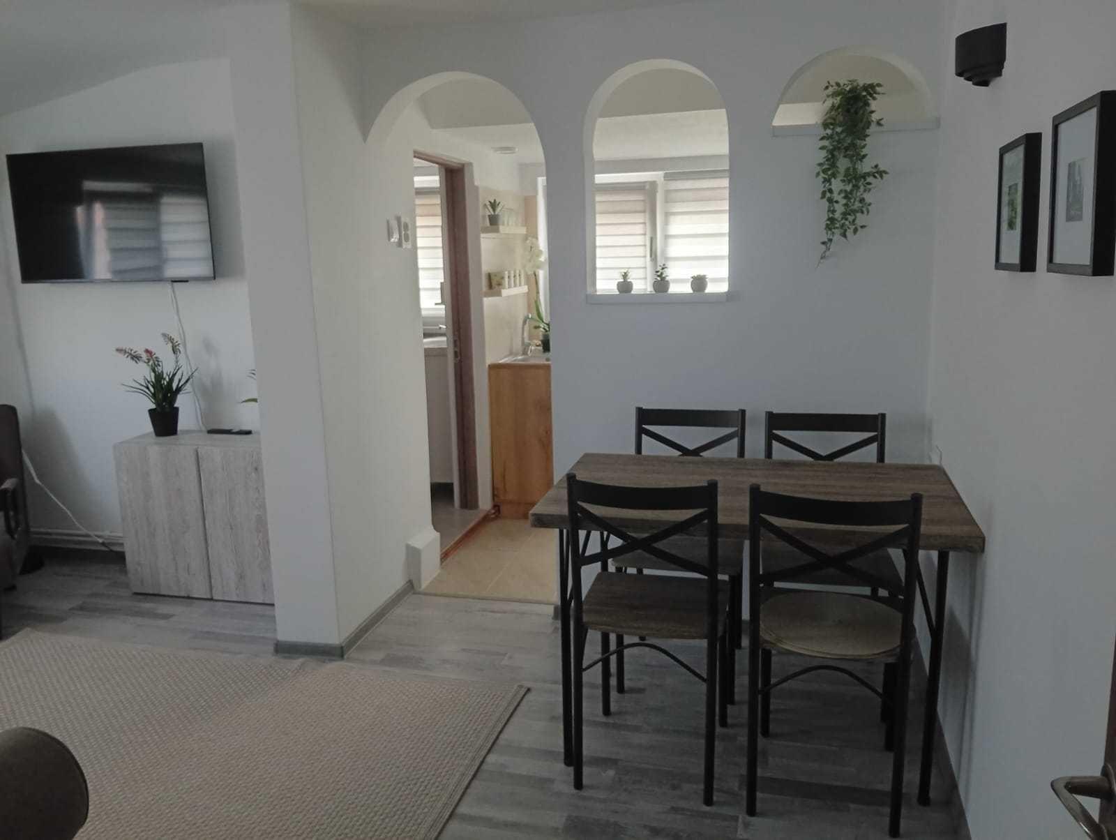 Inchiriez apartament Pet Friendly in Vila zona Episcopiei Râmnicu Vâlcea