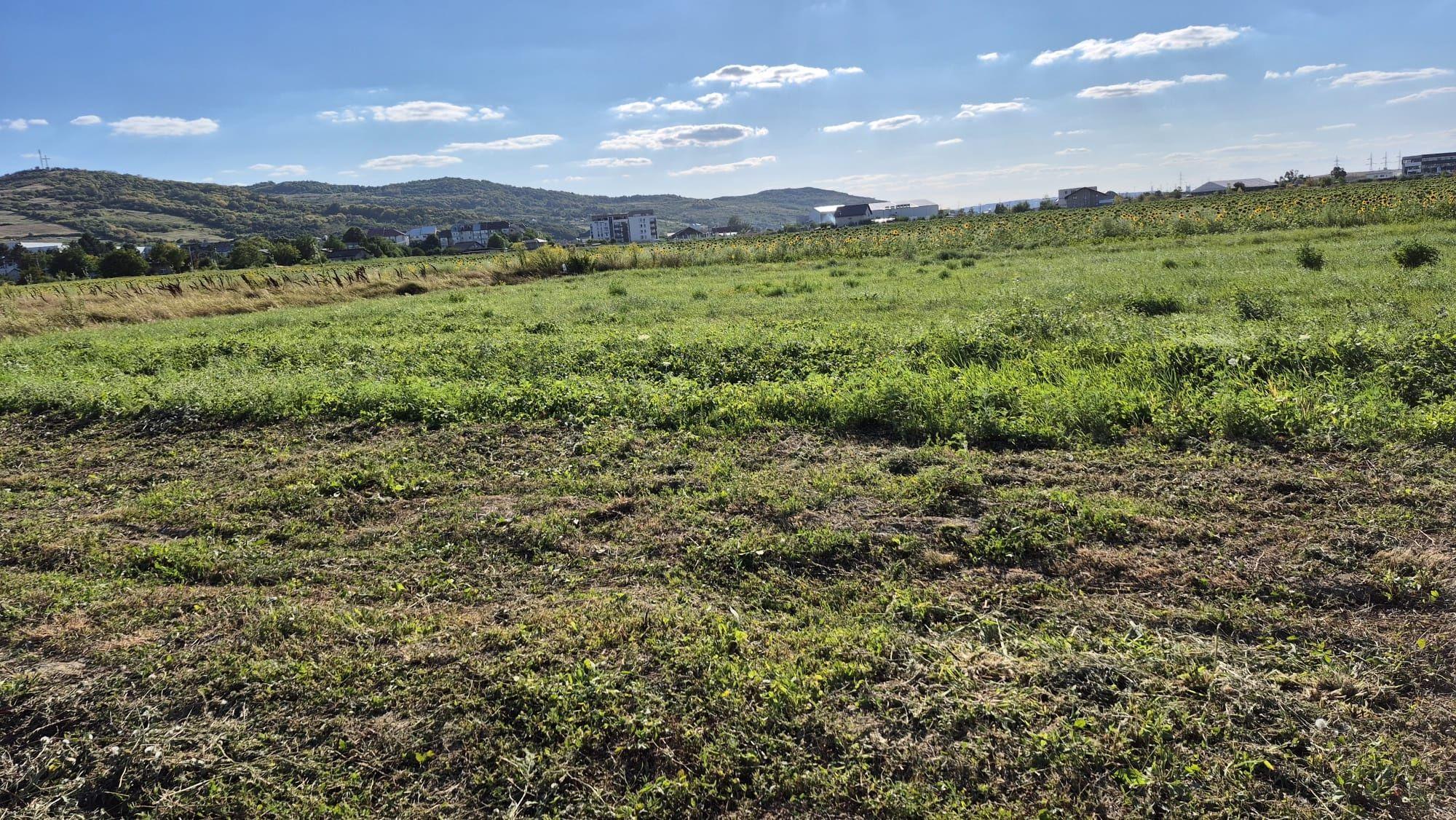 Teren intravilan  -  650 mp - Tomești Vale