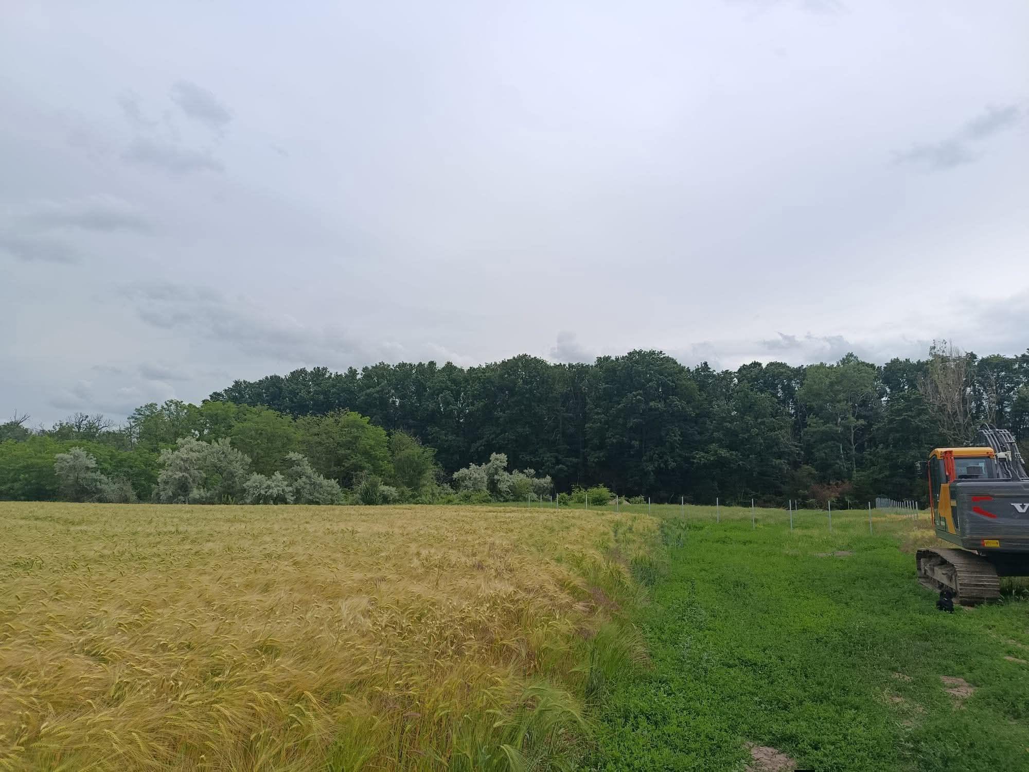 Teren de vânzare langa pădurea Magurele - imagine 1